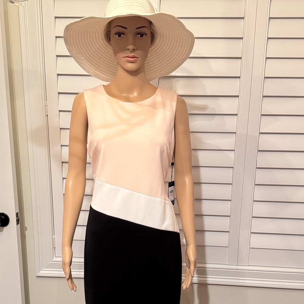 Elegant Pink and Black Sleeveless Dress